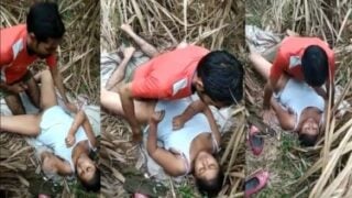 Village couple making out in sugarcane filed