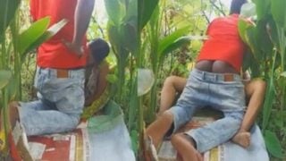Desi mms of village couple fucking in sugarcane crop